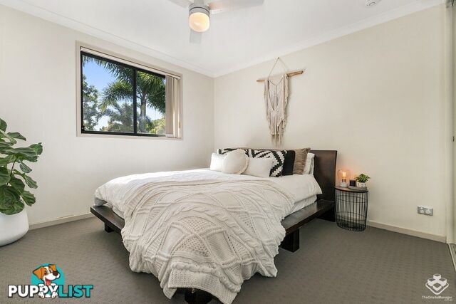 ID:21156589 45 Oxlade Drive New Farm QLD 4005