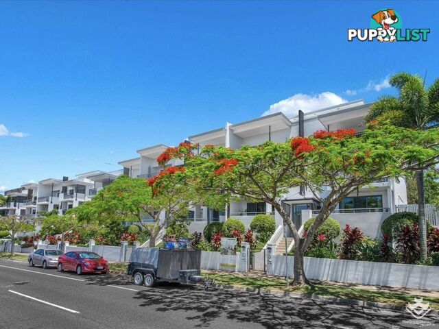 ID:21156589 45 Oxlade Drive New Farm QLD 4005