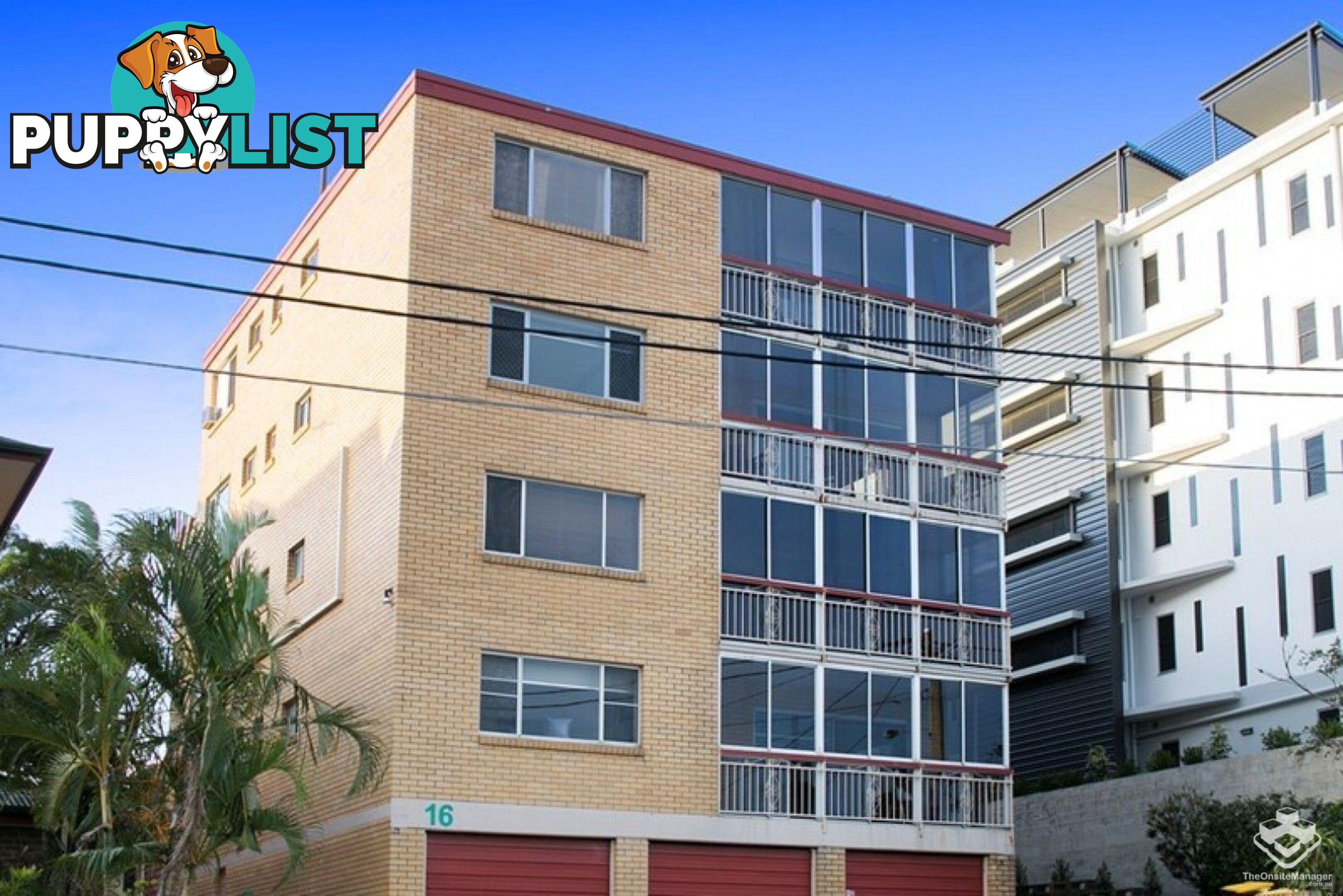 ID:21157480 16 Little Street Albion QLD 4010