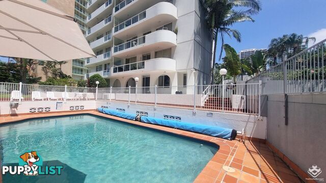 ID:21155160 4 Clifford Street Surfers Paradise QLD 4217