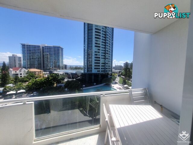 ID:21155160 4 Clifford Street Surfers Paradise QLD 4217