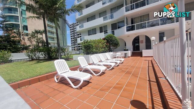 ID:21155160 4 Clifford Street Surfers Paradise QLD 4217