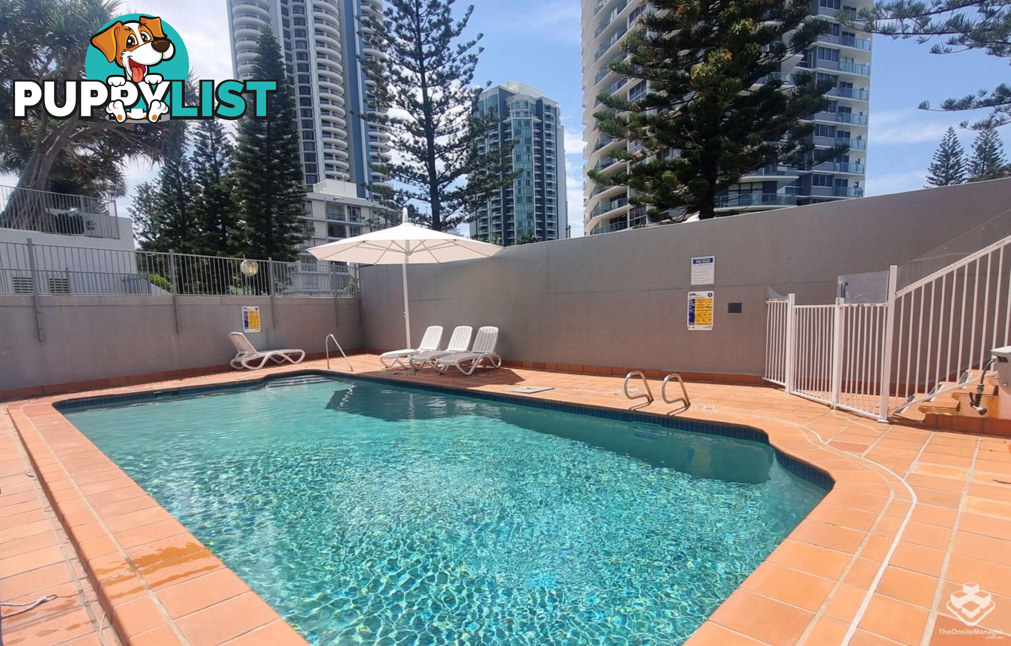 ID:21155160 4 Clifford Street Surfers Paradise QLD 4217