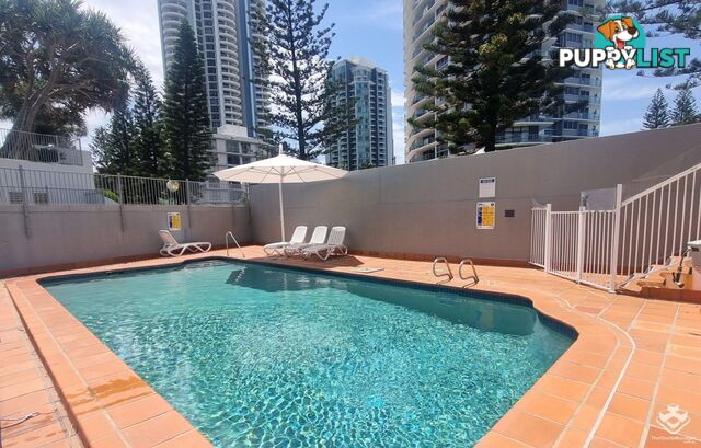 ID:21155160 4 Clifford Street Surfers Paradise QLD 4217