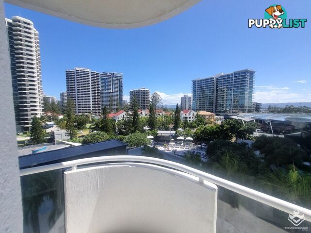 ID:21155160 4 Clifford Street Surfers Paradise QLD 4217