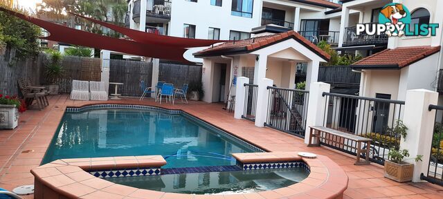 ID:21112710 15 Owens Lane Southport QLD 4215