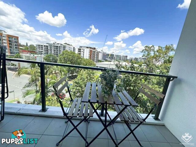 ID:21146085/10 Pidgeon Close West End QLD 4101