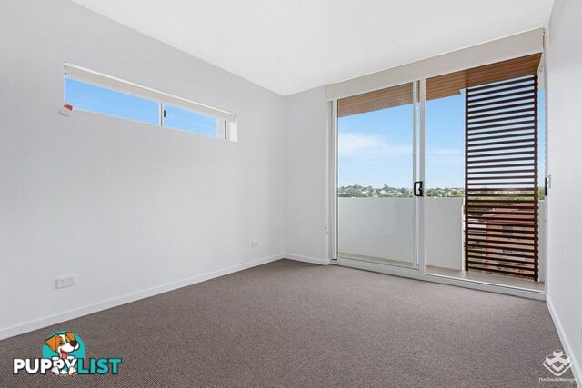 ID:21156001 9 Chelmsford Avenue Lutwyche QLD 4030