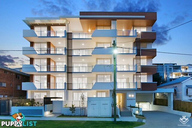 ID:21156001 9 Chelmsford Avenue Lutwyche QLD 4030