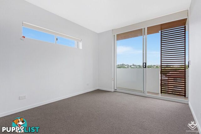 ID:21156001 9 Chelmsford Avenue Lutwyche QLD 4030