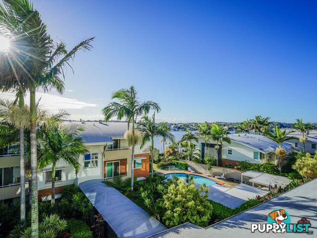 ID:3898015/15 Vernon Terrace Teneriffe QLD 4005