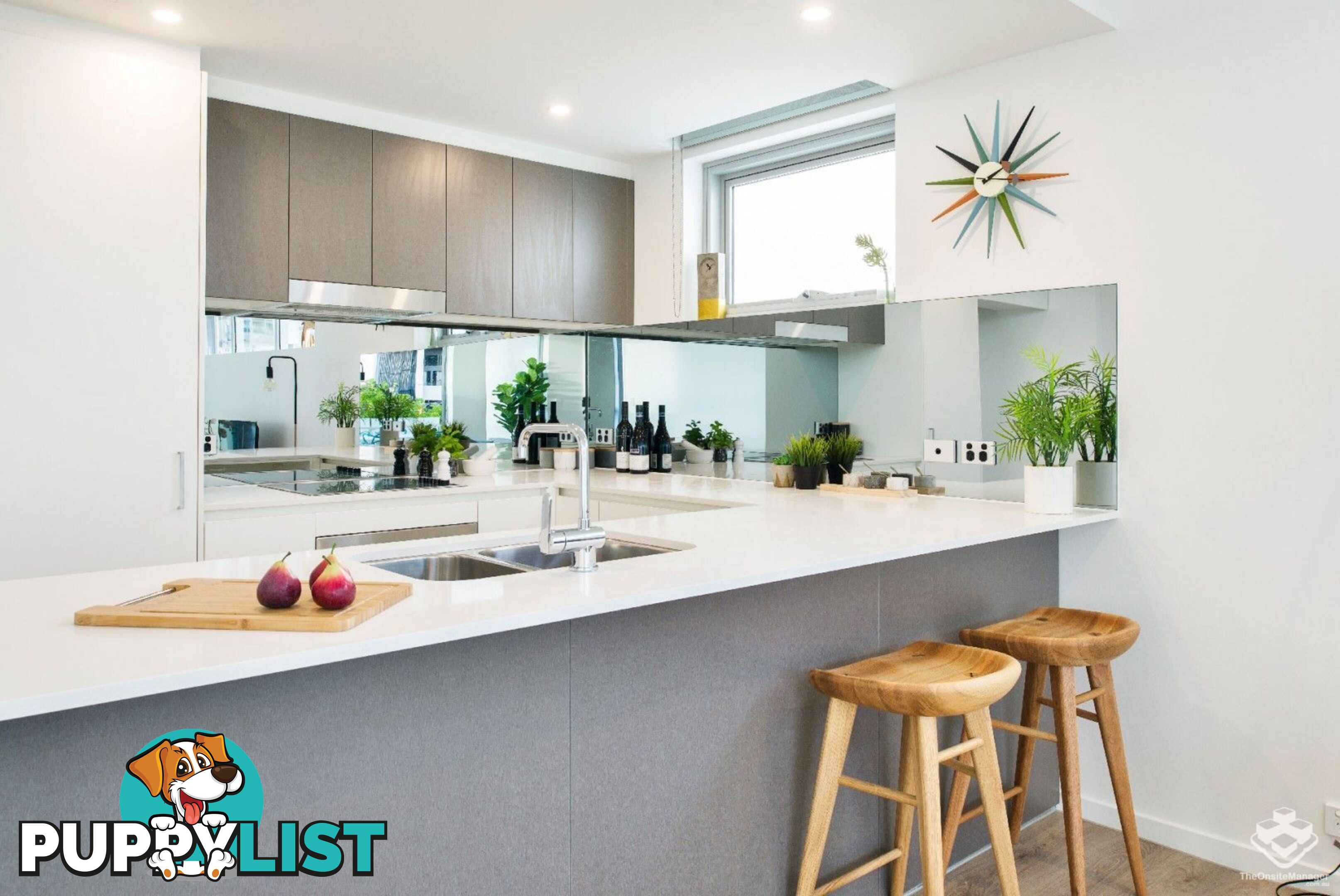 ID:21149149 28 Wharf Street Kangaroo Point QLD 4169