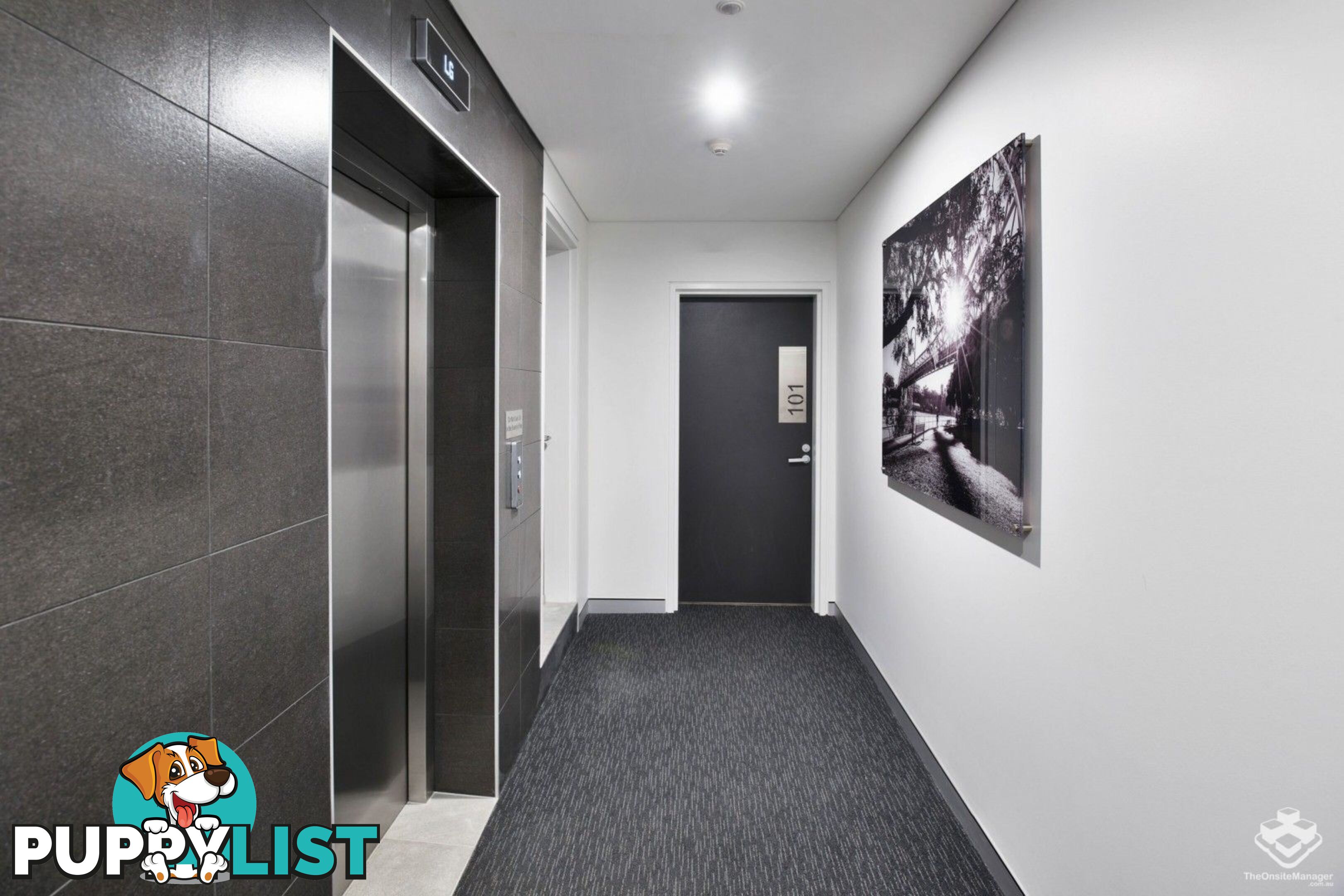 ID:21149149 28 Wharf Street Kangaroo Point QLD 4169