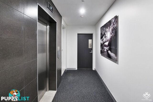 ID:21149149 28 Wharf Street Kangaroo Point QLD 4169
