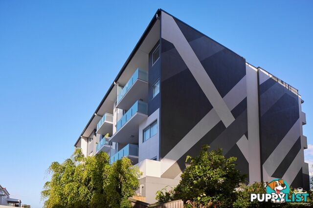 ID:21149149 28 Wharf Street Kangaroo Point QLD 4169