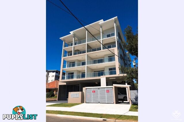 10/41 Lumley Street Upper Mount Gravatt QLD 4122