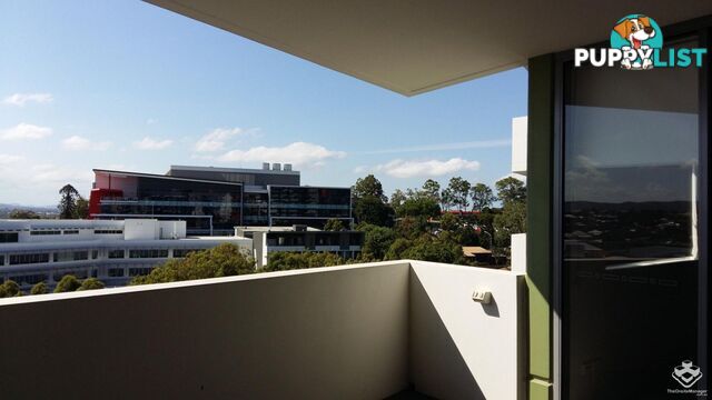 ID:21153675 63 Blamey Street Kelvin Grove QLD 4059