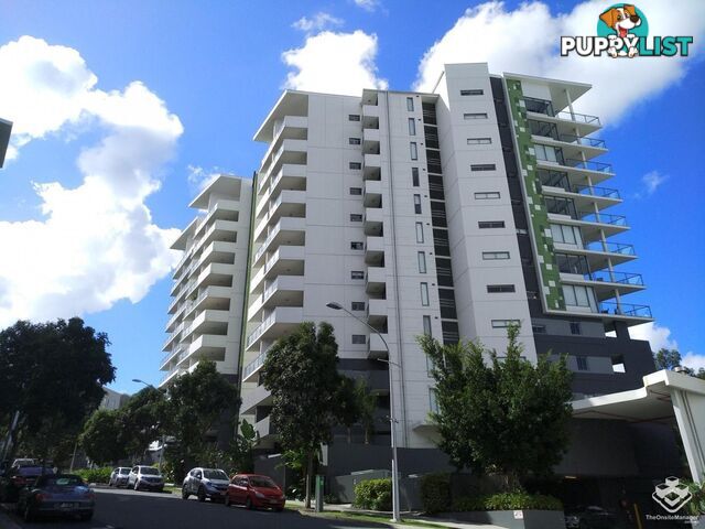 ID:21153675 63 Blamey Street Kelvin Grove QLD 4059