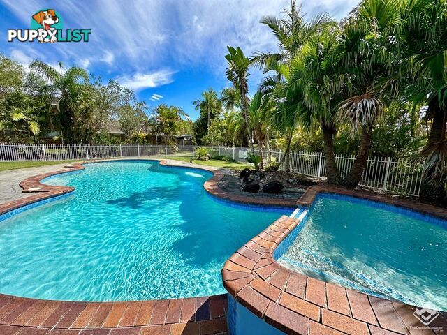 ID:21141786/33-67 Edmund Rice Drive Southport QLD 4215