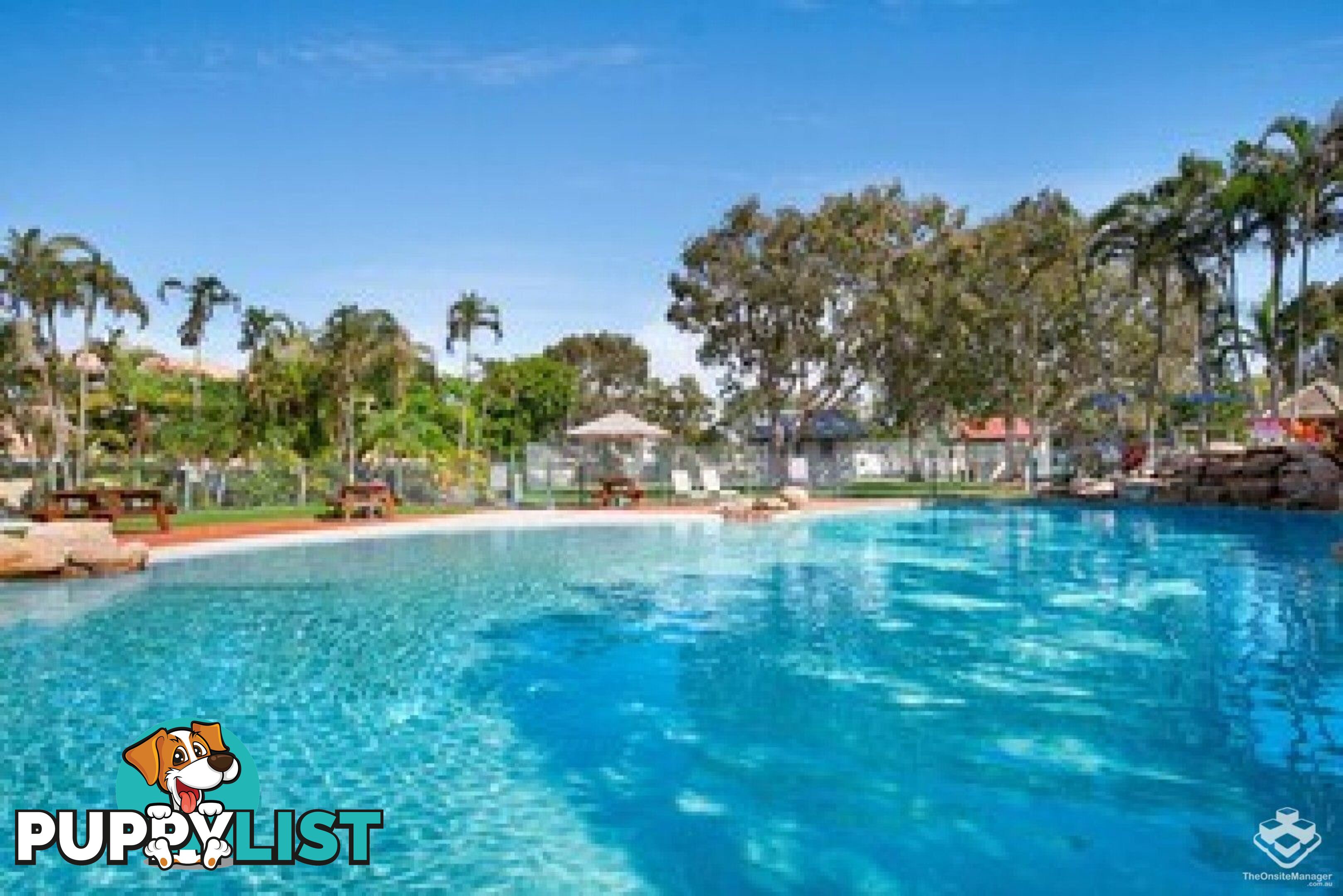 ID:21152882 17 Buccaneer Drive Urangan QLD 4655