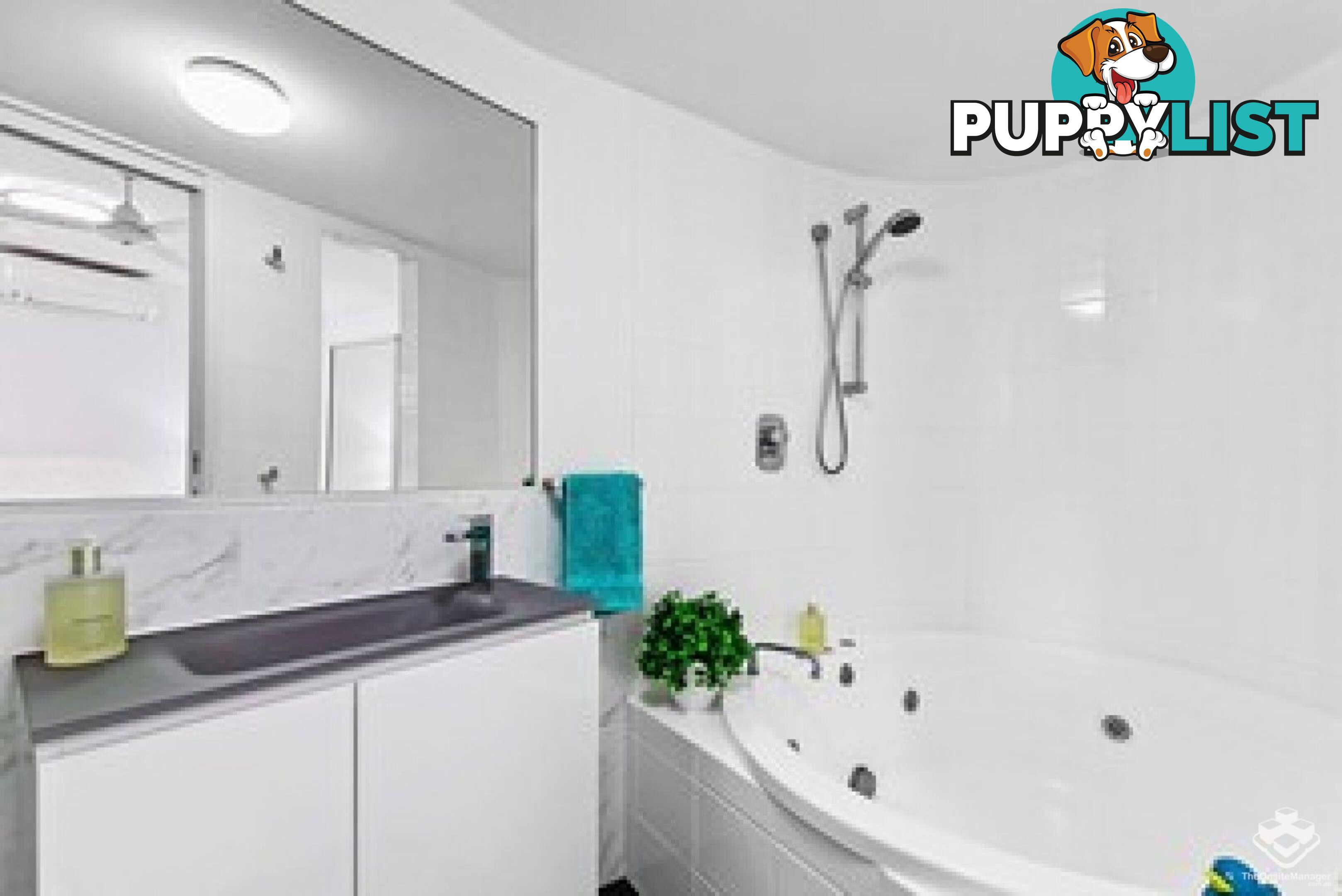 ID:21152882 17 Buccaneer Drive Urangan QLD 4655