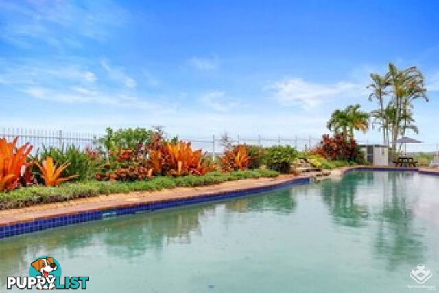 ID:21152882 17 Buccaneer Drive Urangan QLD 4655