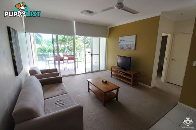 ID:21154271 65 Manooka Drive Cannonvale QLD 4802