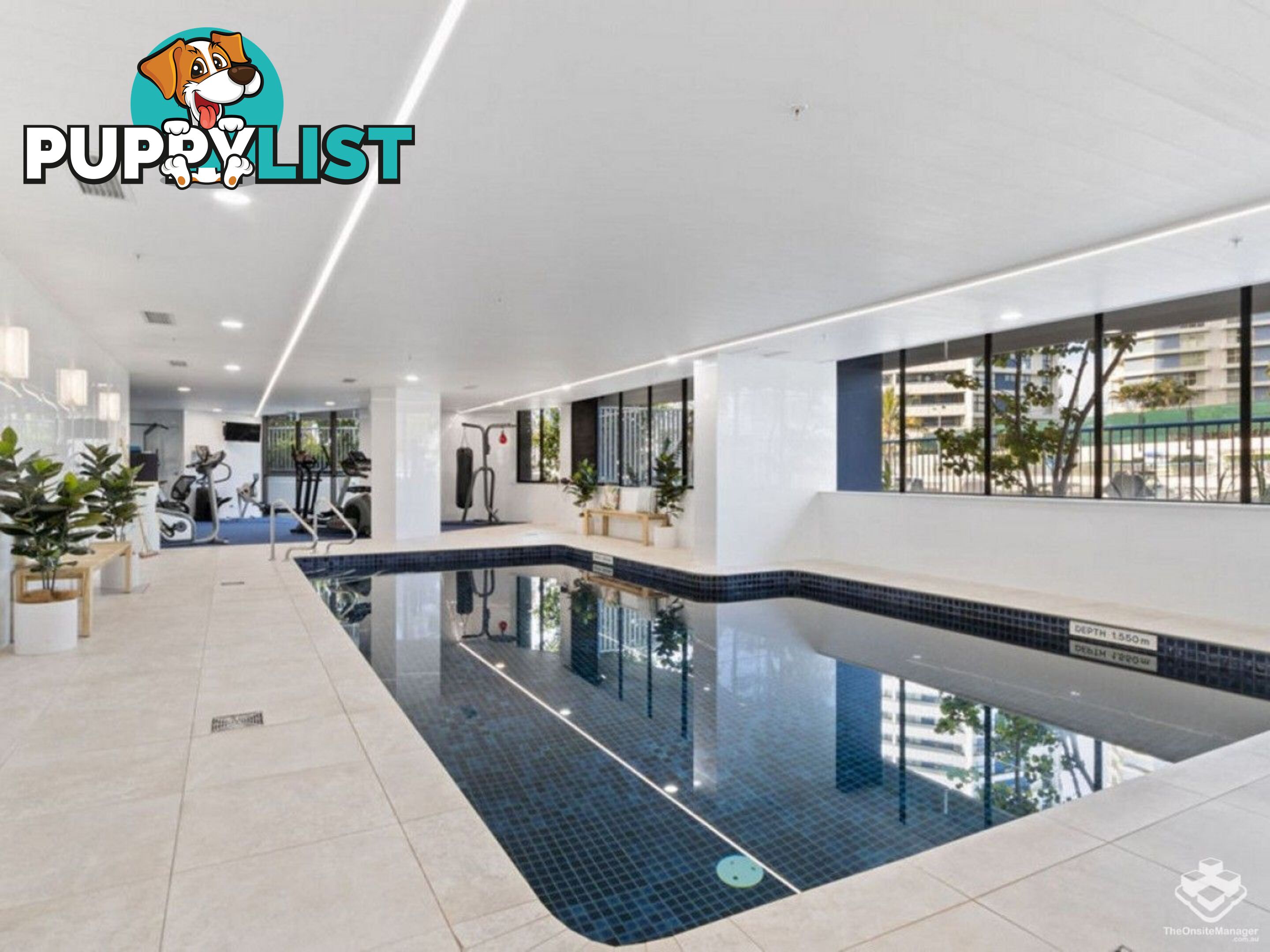 ID:21153923 21 Bayview Street Runaway Bay QLD 4216