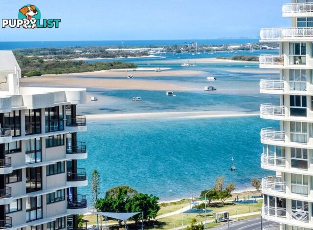 ID:21153923 21 Bayview Street Runaway Bay QLD 4216