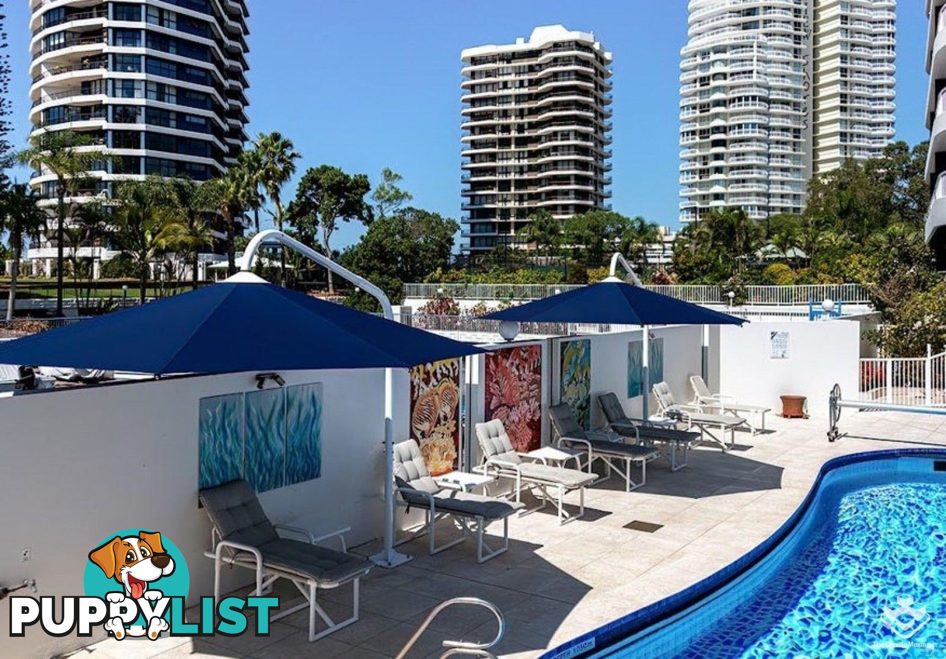 ID:21153923 21 Bayview Street Runaway Bay QLD 4216