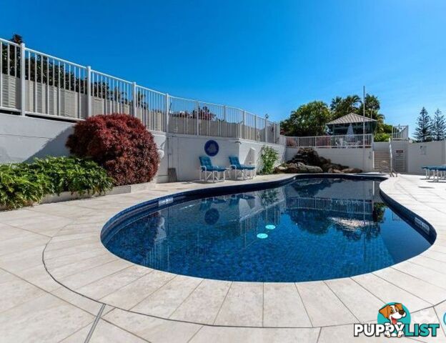 ID:21153923 21 Bayview Street Runaway Bay QLD 4216