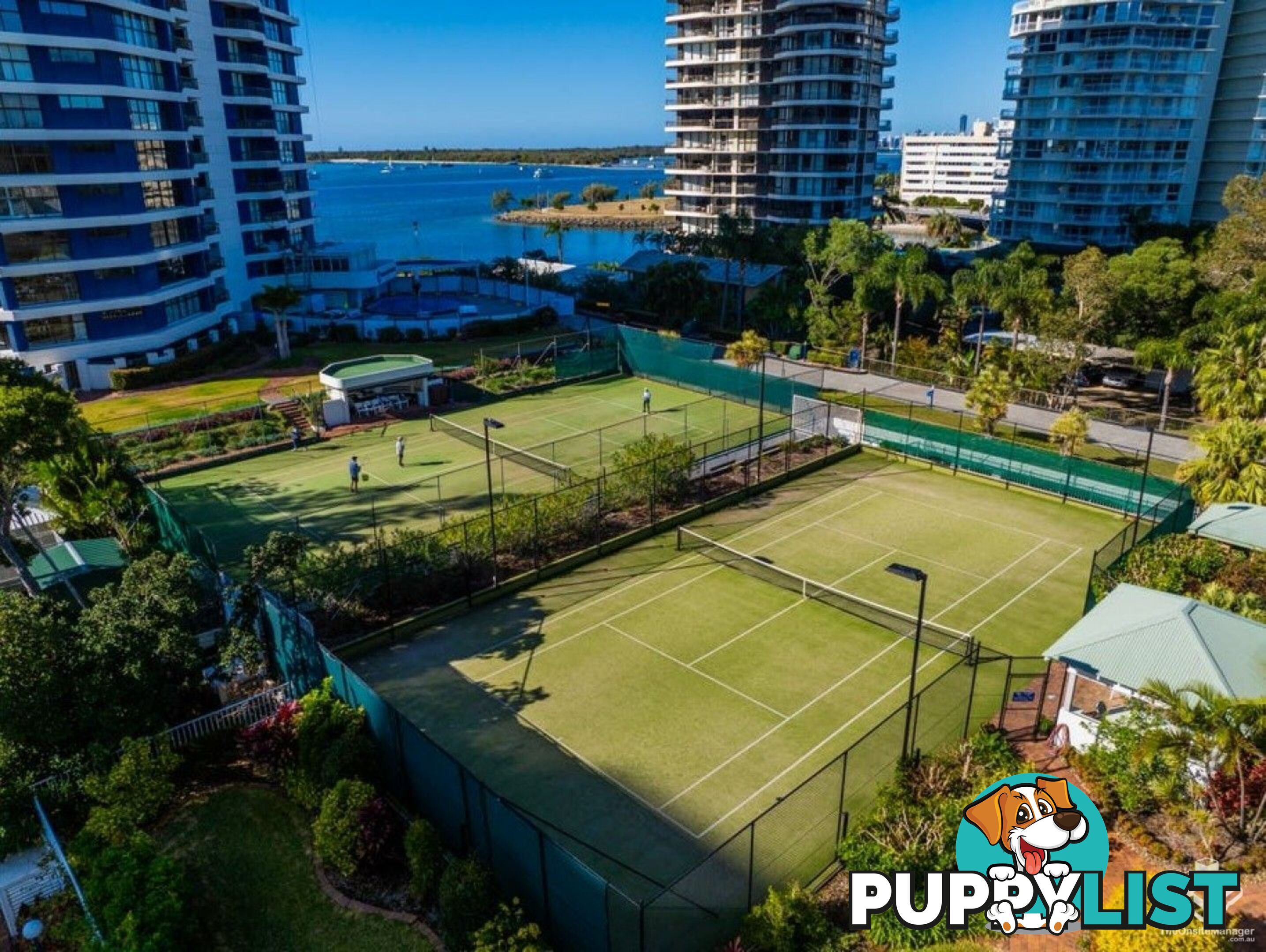 ID:21153923 21 Bayview Street Runaway Bay QLD 4216