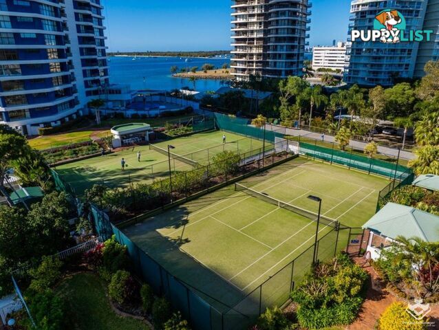 ID:21153923 21 Bayview Street Runaway Bay QLD 4216