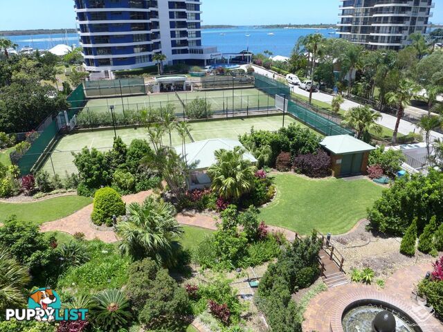 ID:21153923 21 Bayview Street Runaway Bay QLD 4216