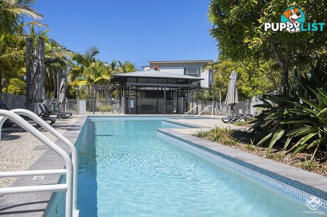 61/10 Grand Parade Kawana Island QLD 4575