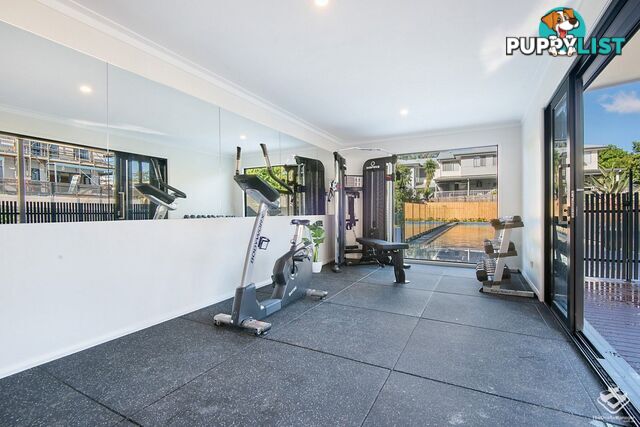 ID:21154523 52 Russell Street Everton Park QLD 4053