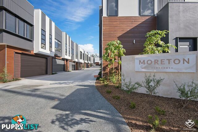 ID:21154523 52 Russell Street Everton Park QLD 4053