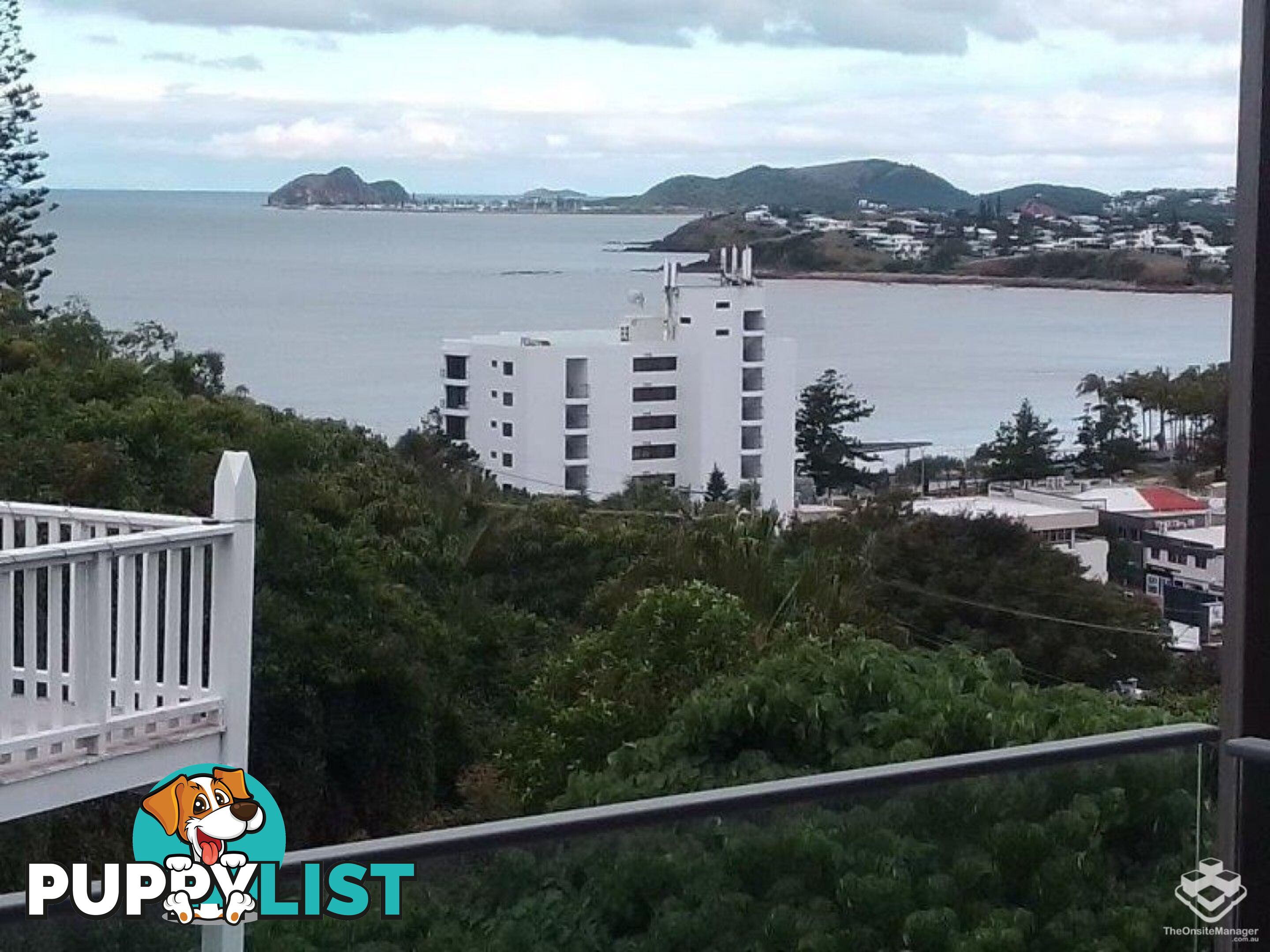ID:21156598 16 Cliff Street Yeppoon QLD 4703