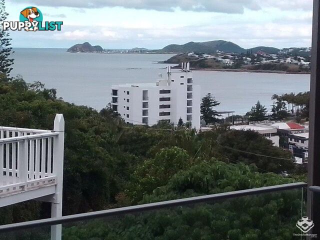 ID:21156598 16 Cliff Street Yeppoon QLD 4703