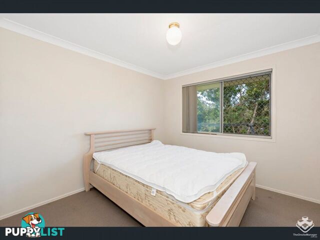 227 Universal Street Oxenford QLD 4210