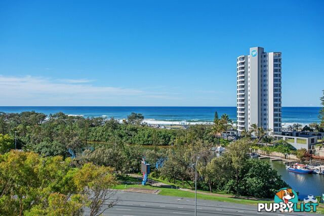 ID:21154251 2 Admiralty Drive Surfers Paradise QLD 4217