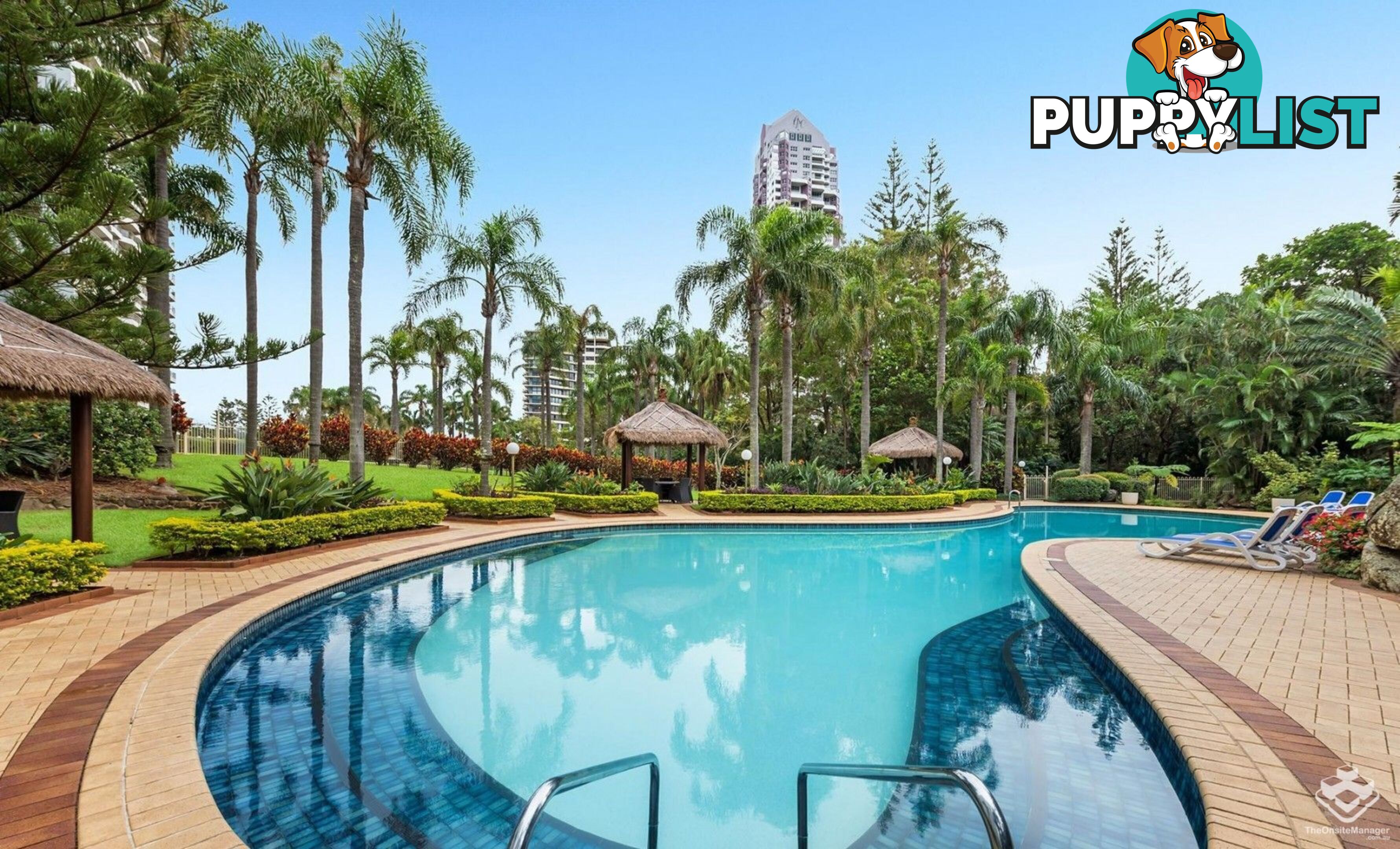 ID:21154251 2 Admiralty Drive Surfers Paradise QLD 4217