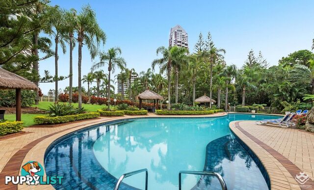 ID:21154251 2 Admiralty Drive Surfers Paradise QLD 4217