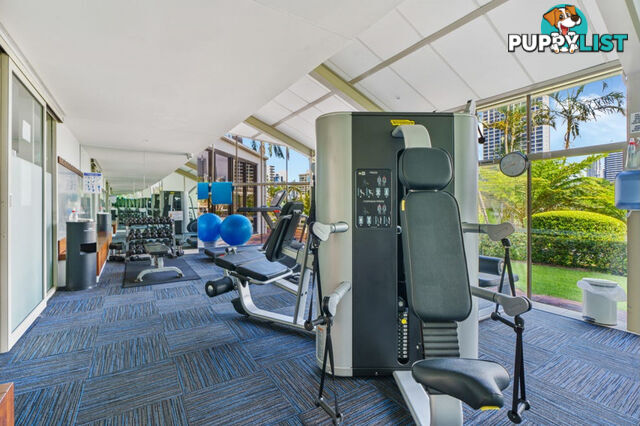 ID:21154251 2 Admiralty Drive Surfers Paradise QLD 4217