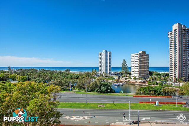 ID:21154251 2 Admiralty Drive Surfers Paradise QLD 4217