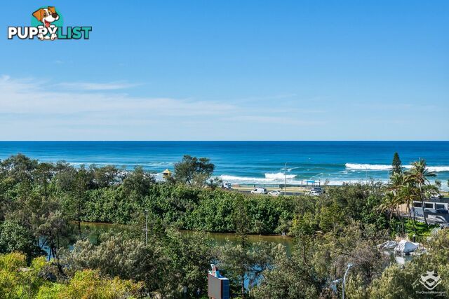 ID:21154251 2 Admiralty Drive Surfers Paradise QLD 4217