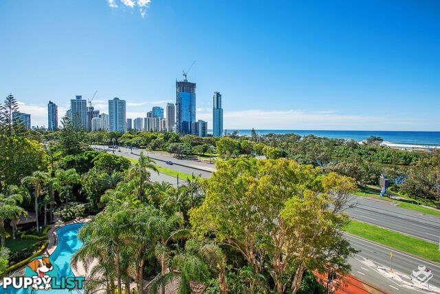 ID:21154251 2 Admiralty Drive Surfers Paradise QLD 4217