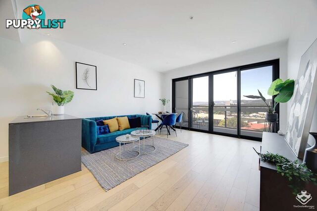 ID:21155371 41 Surflen Street Adelaide SA 5000