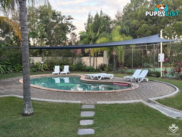 ID:21157538 641 Pine Ridge Road Coombabah QLD 4216