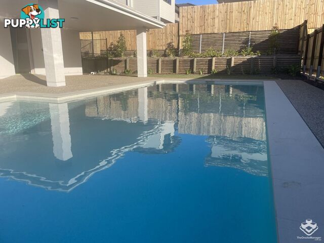 42/16 Nigella Street Dakabin QLD 4503